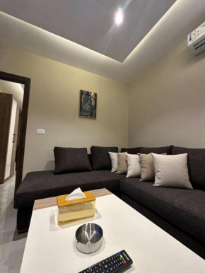 Chic Apartments For Rent ave1-3